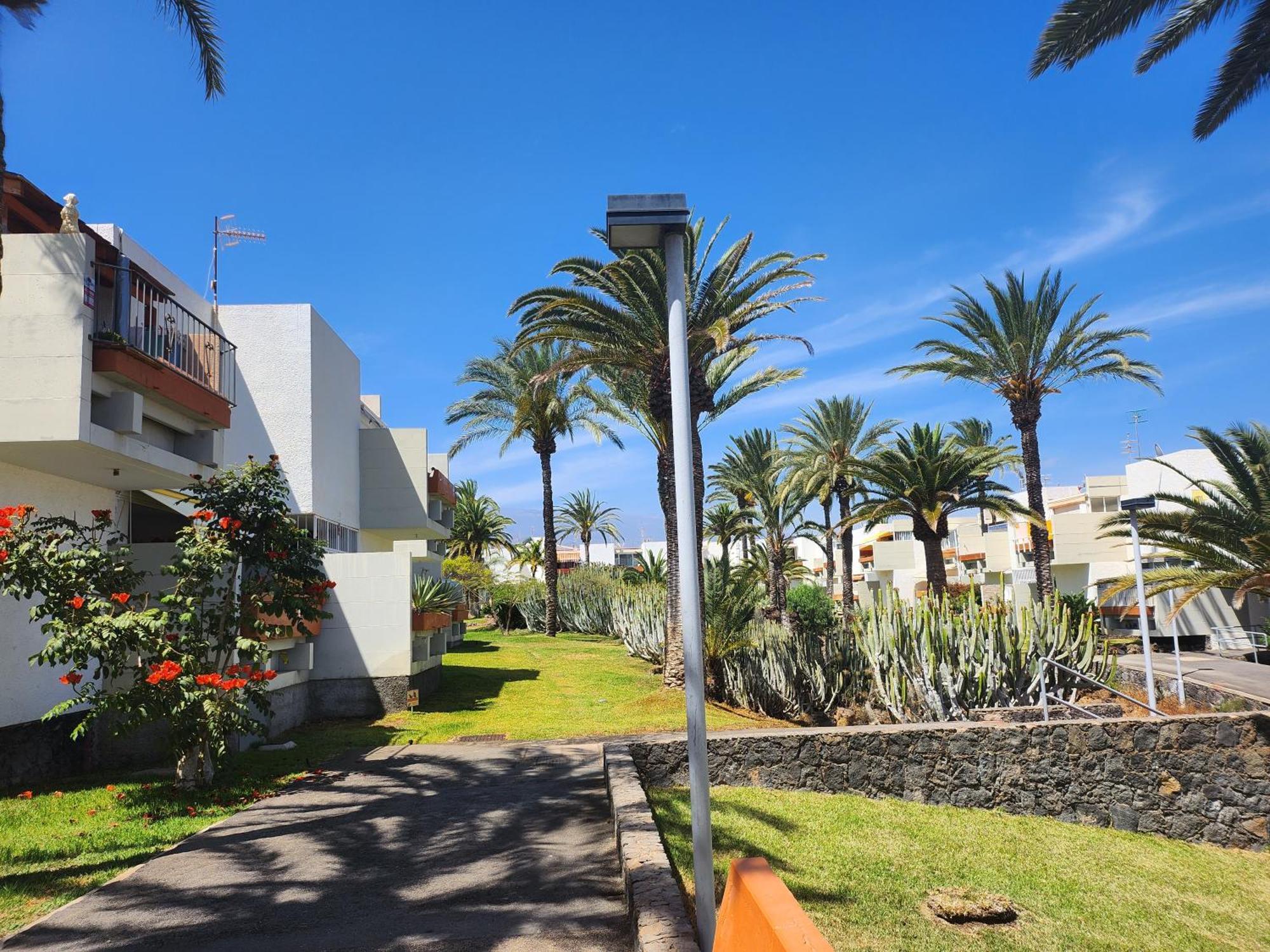 Tenerife Sunshine South Apartment Beach By La Ballena Arona  Dış mekan fotoğraf