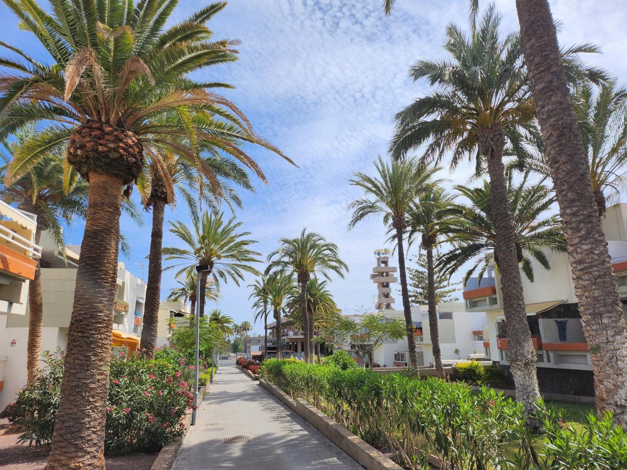Tenerife Sunshine South Apartment Beach By La Ballena Arona  Dış mekan fotoğraf