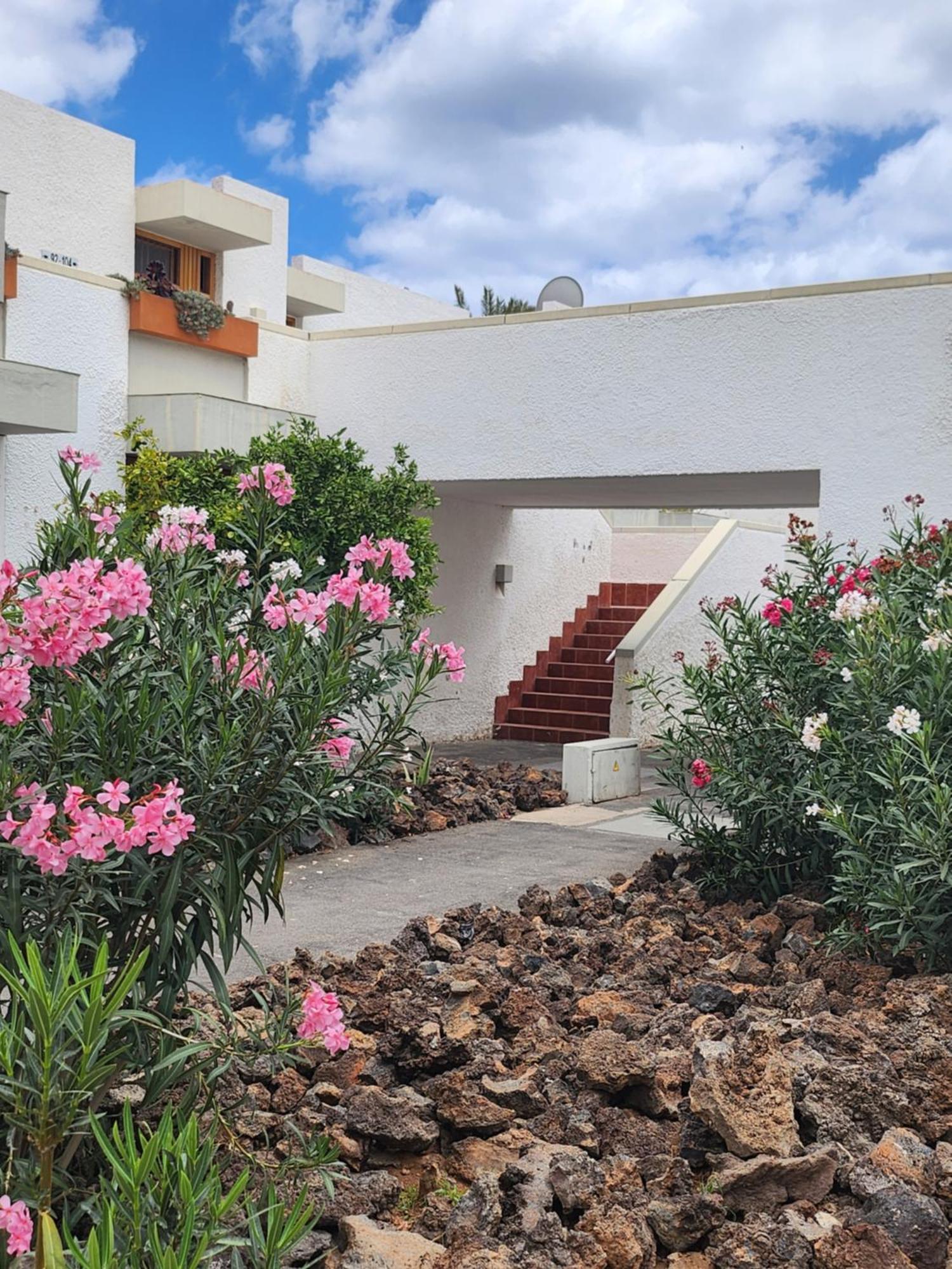 Tenerife Sunshine South Apartment Beach By La Ballena Arona  Dış mekan fotoğraf