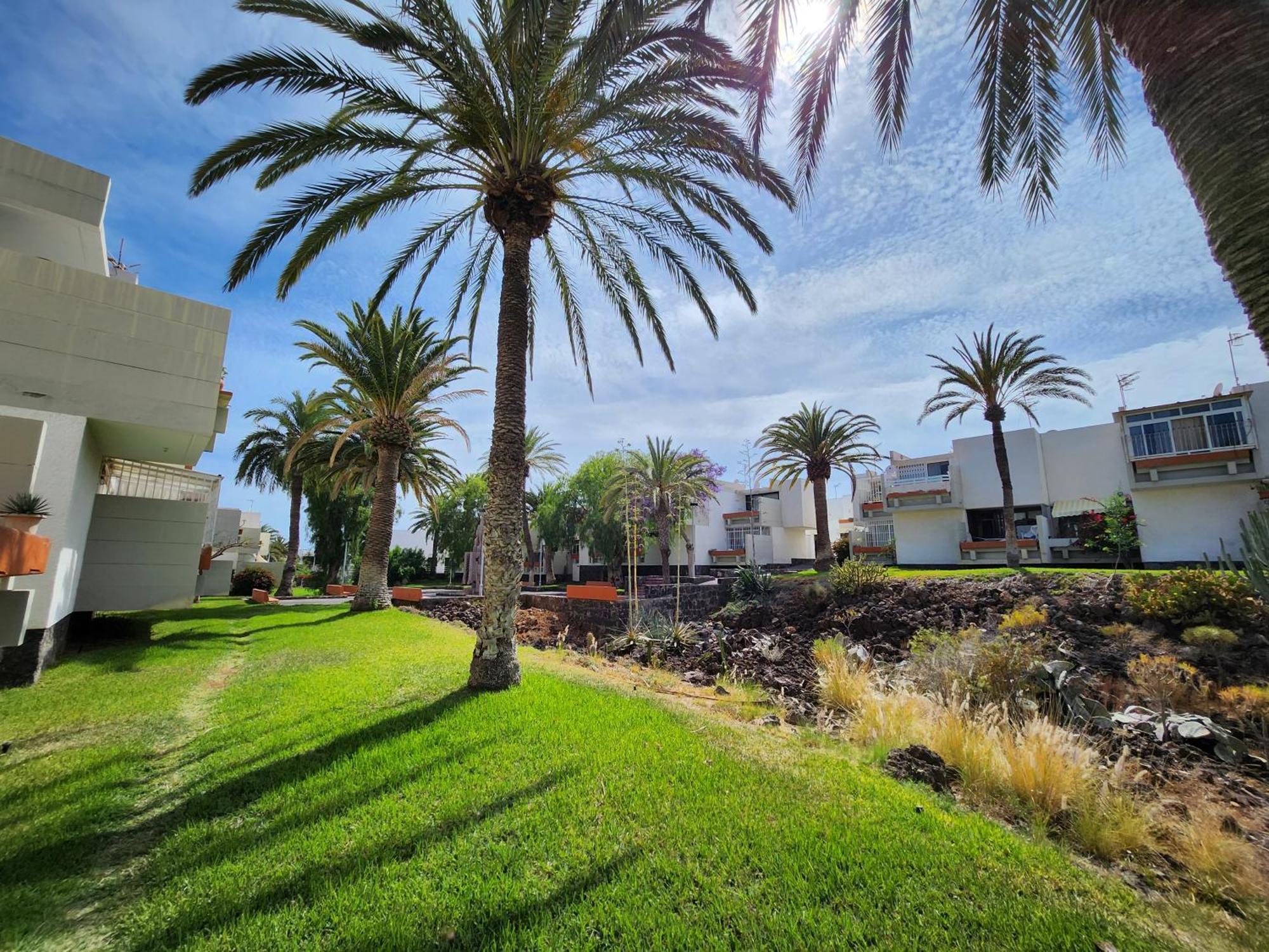 Tenerife Sunshine South Apartment Beach By La Ballena Arona  Dış mekan fotoğraf